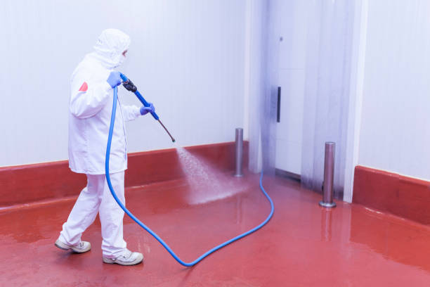 Best Dumpster Area Cleaning  in Chapman, KS